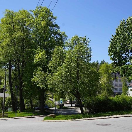 Ferienwohnung Kermaerchen Gelenau Exterior photo