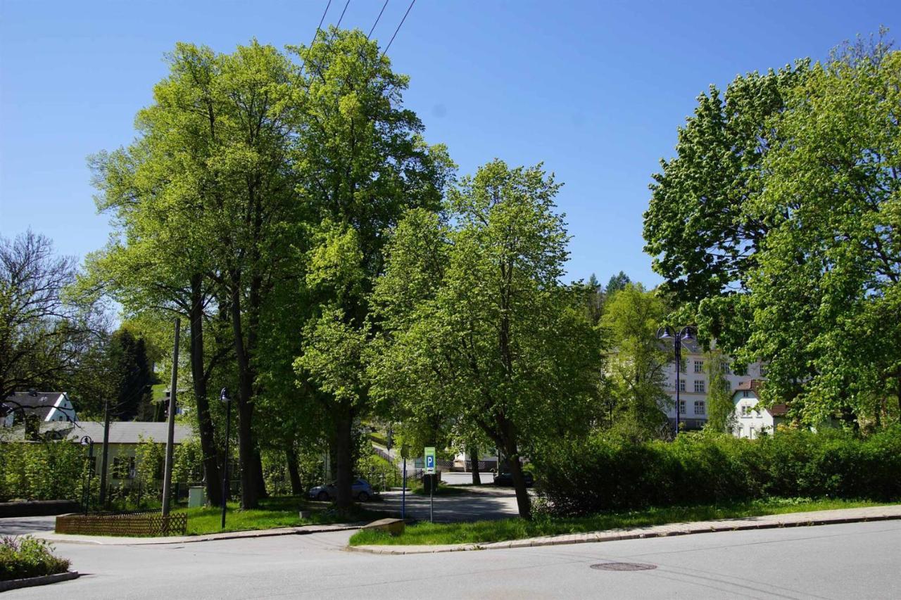 Ferienwohnung Kermaerchen Gelenau Exterior photo